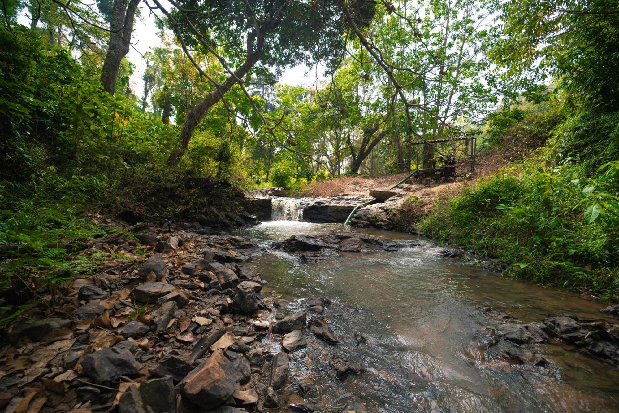 Вилла Kingmaker'S Plantation With River Stream Мадикери Экстерьер фото